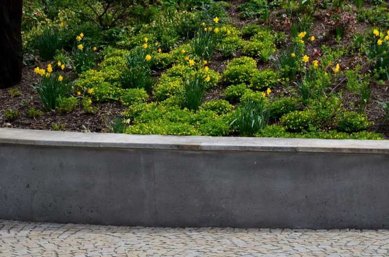 Completed Artistic Wall Painting